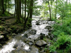 Eksteriør