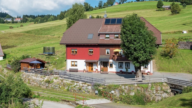Exterior - Luxurious Apartment in Todtnauberg With Terrace (Todtnau)