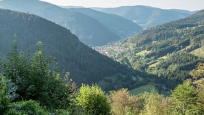 Exterior - Luxurious Apartment in Todtnauberg With Terrace (Todtnau)