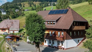 Exterior - Luxurious Apartment in Todtnauberg With Terrace (Todtnau)