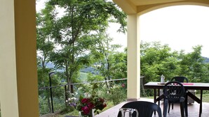 A wooden table with a vase of flowers, a pitcher, and two glasses on a red mat, set on a balcony with a view of greenery and hills. - Rural Retreat in Sassoleone (Casalfiumanese)