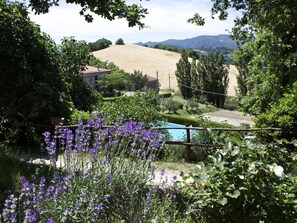 Apartment | Pool | Outdoor pool - Rural Retreat in Sassoleone (Casalfiumanese)