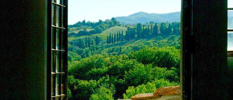 Villa | View from property