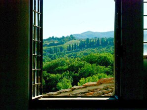 Villa | View from property - Charming Villa With Pool in Florence (Rignano sull'Arno)