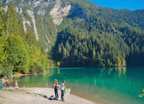 Cottage | Quang cảnh nhìn từ nơi lưu trú