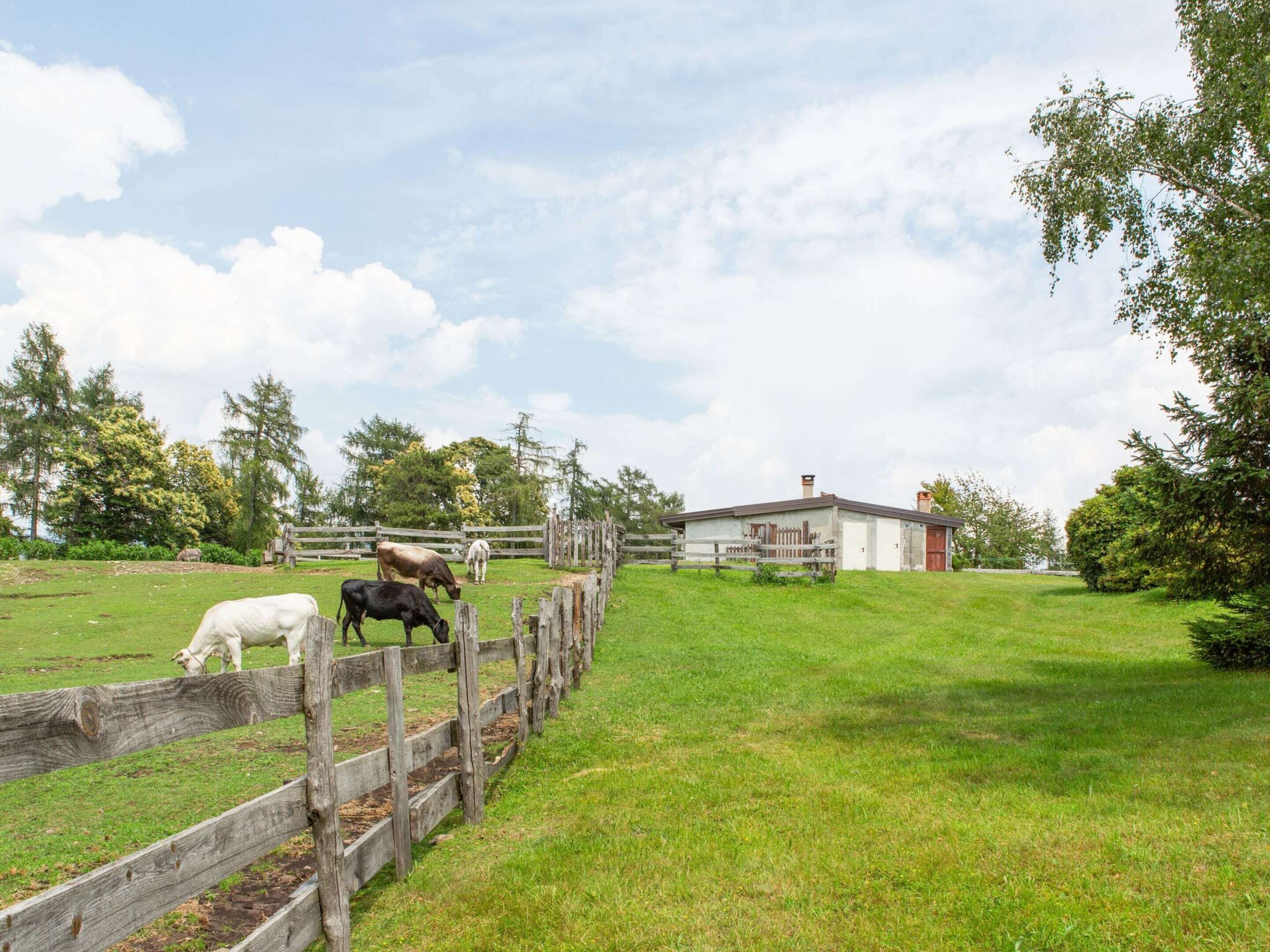 Una granja rural con cerca de madera, un granero y vacas pastando.