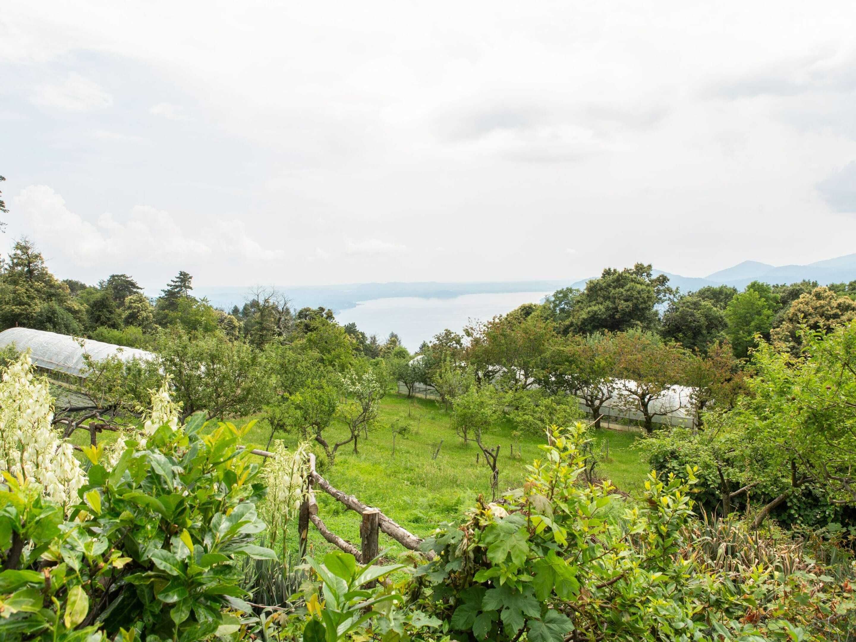 Ferienhaus | Blick von der Unterkunft