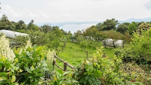 A lush green landscape with a vineyard, a greenhouse, and a distant lake under a cloudy sky. - Farmhouse in Verbania With Lake Views (Verbania)
