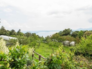 Casa | Vista desde la propiedad