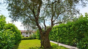 A well-maintained garden with a large tree, neatly trimmed hedges, and a clear pathway. - Holiday Home in Bardolino With Pool & Lake Views (Bardolino)