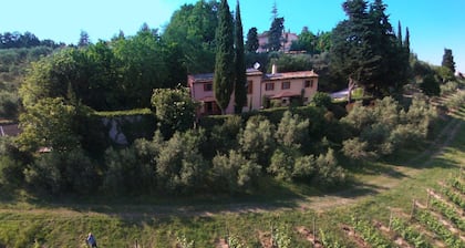 Farmhouse With Swimming Pool, Beautiful Views, Among Vineyards and Olive Groves
