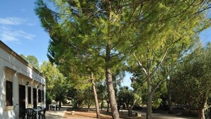 A courtyard with a stone pathway, outdoor seating, and trees. - Farm Near the Beautiful Ionian Sea, in the Beautiful Salento (Torricella)