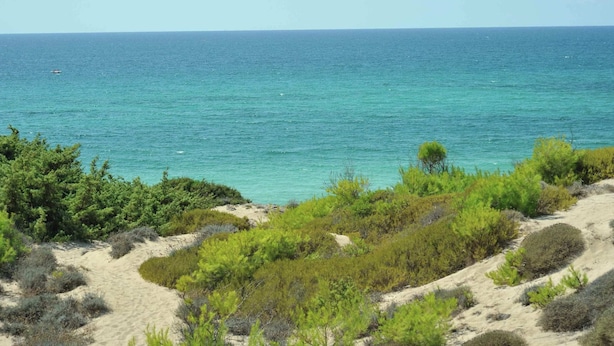 A coastal landscape with sandy terrain and green vegetation. - Farm Near the Beautiful Ionian Sea, in the Beautiful Salento (Torricella)