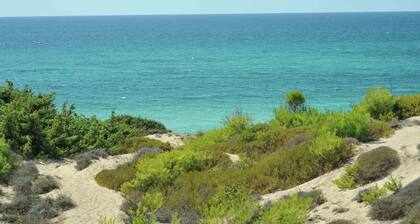 Farm Near the Beautiful Ionian Sea, in the Beautiful Salento