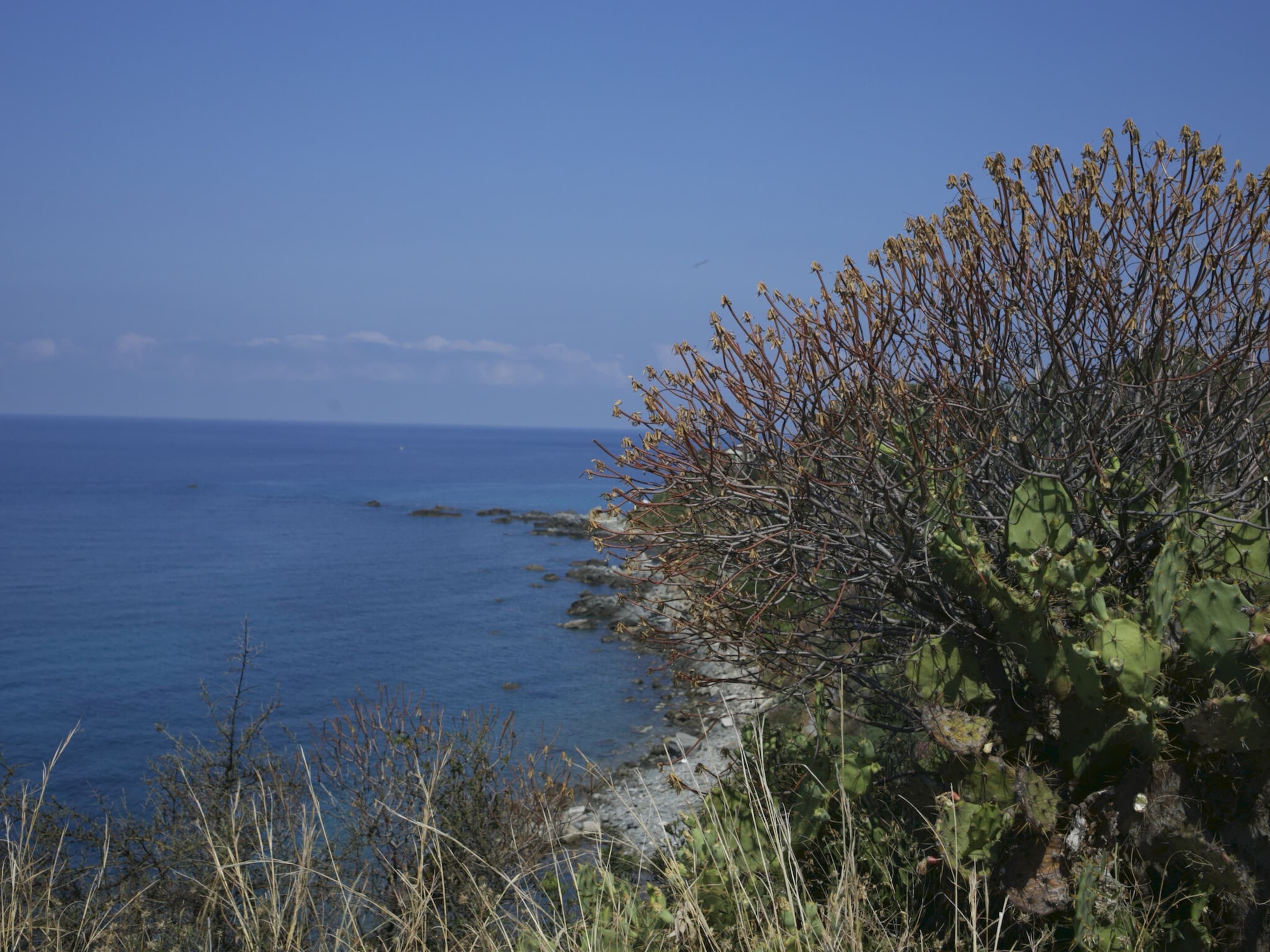 Un paysage côtier offrant une vue dégagée sur la mer, avec un rivage rocheux et une végétation clairsemée.