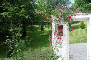 Hus | Trädgård