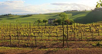 Luxurious Mansion in Montecassiano With Private Garden