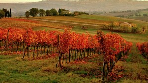 Exterior - Luxurious Mansion in Montecassiano With Private Garden (Montecassiano)