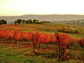Exterior - Luxurious Mansion in Montecassiano With Private Garden (Montecassiano)