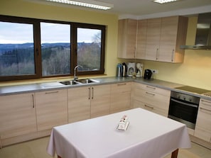 Private kitchen | Fridge, microwave, oven, dishwasher