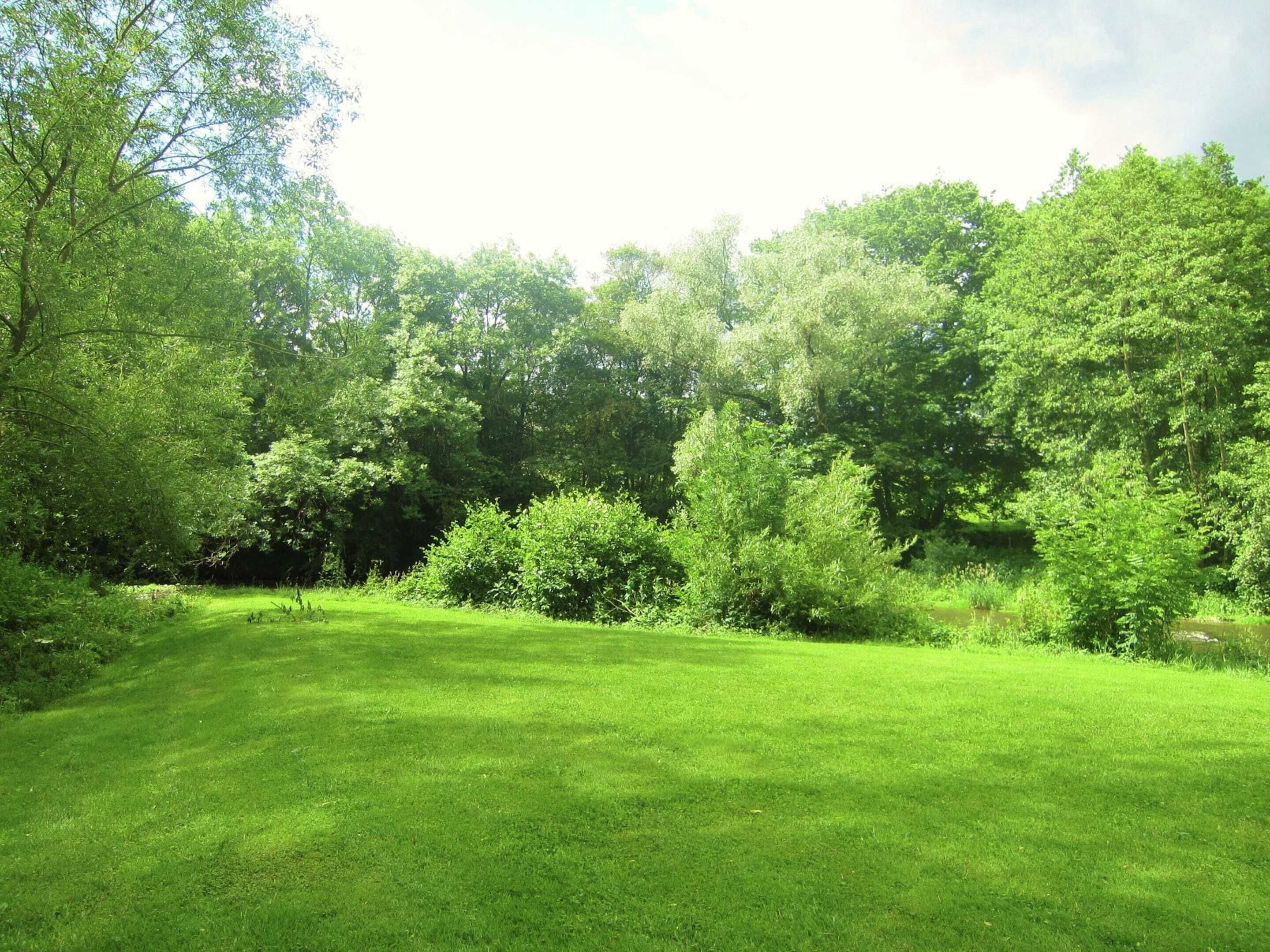 Taman