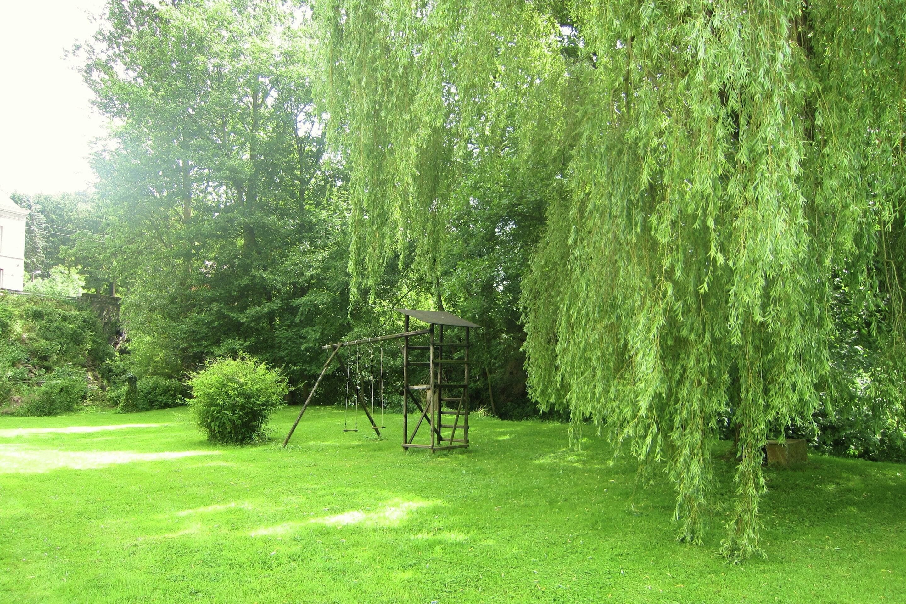 獨棟房屋 | 花園