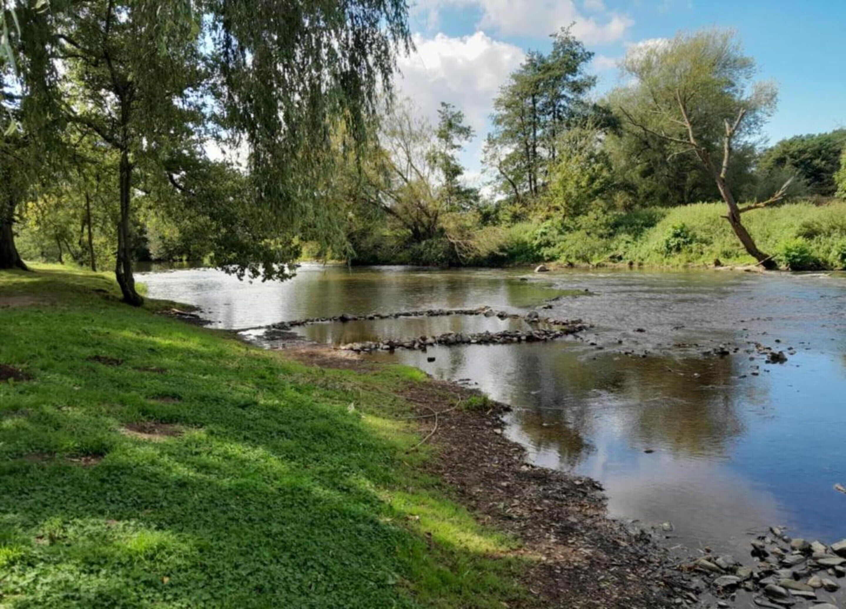 A river with a rocky bed, surrounded by lush green grass and trees.