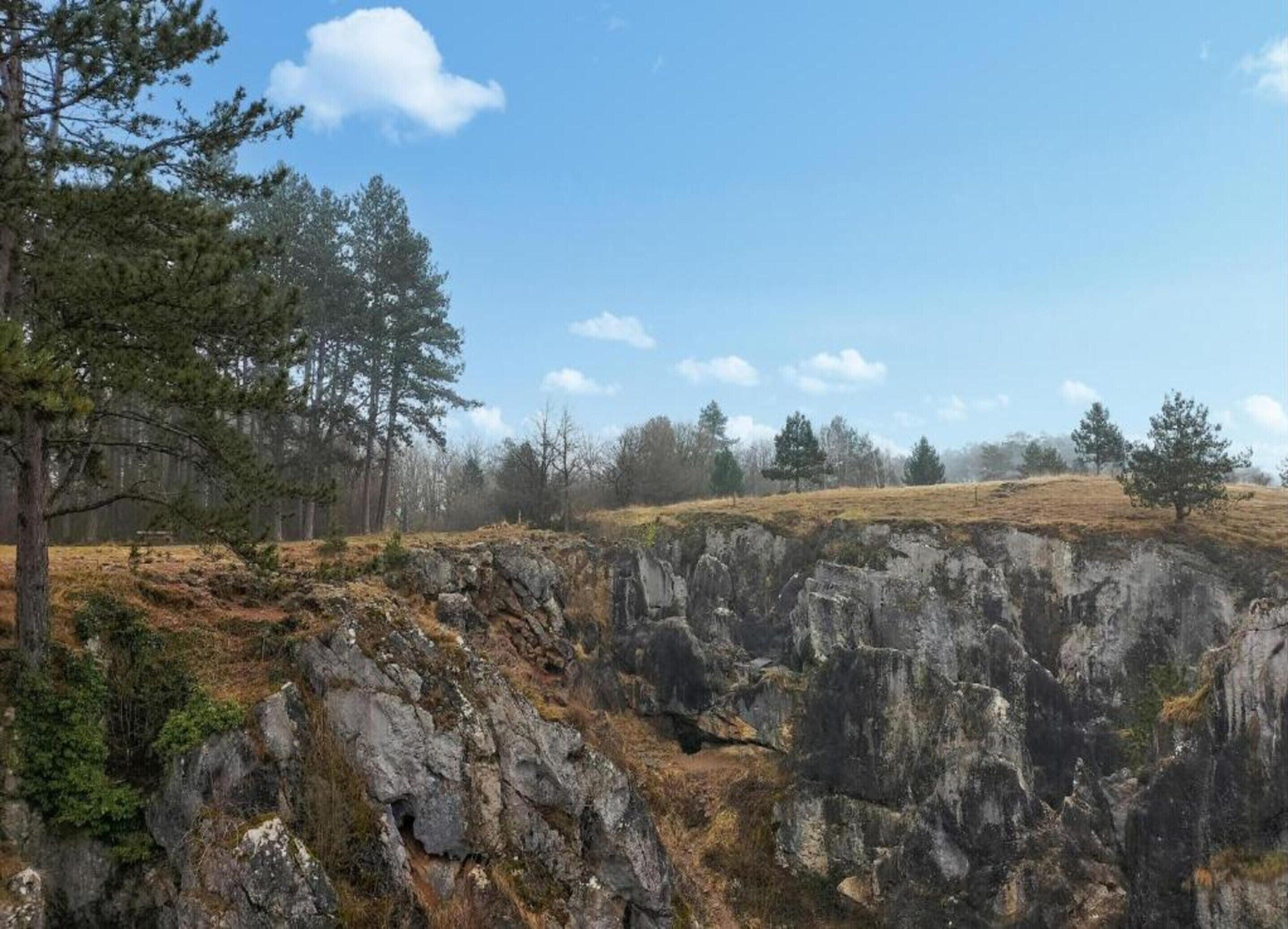 A rocky landscape with sparse vegetation and trees.