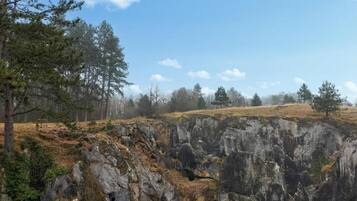 A rocky landscape with sparse vegetation and trees.