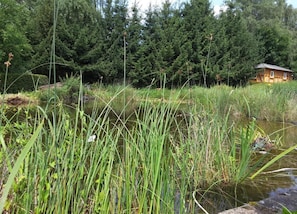 A natural landscape with a pond, tall grasses, and a wooden cabin in the background. - Landhaus Nahe Sababurg Schloss (Trendelburg)