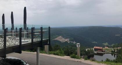 Apartment in Kniebis Near Ski Trail