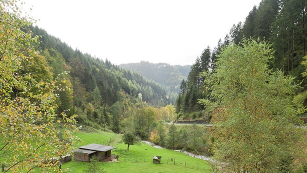 A rural landscape with a river, a small wooden structure, and a forested hill. - Holiday Home Near the Forest in Oppenau (Oppenau)