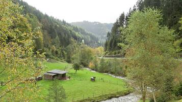 Apartment | Außenbereich