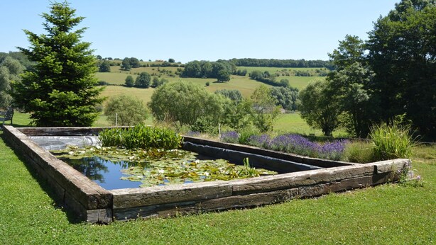 A garden with a pond, surrounded by grass and trees. - Superb Holiday Home With Barbecue (Plombieres)