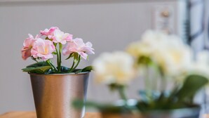 3 chambres, lits bébé, ameublement personnalisé