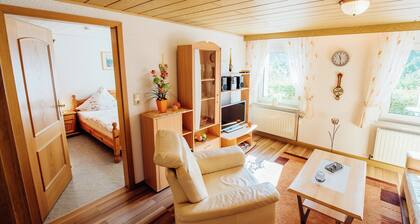 Modish Apartment in Plankenstein near Forest