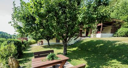 Modish Apartment in Plankenstein near Forest