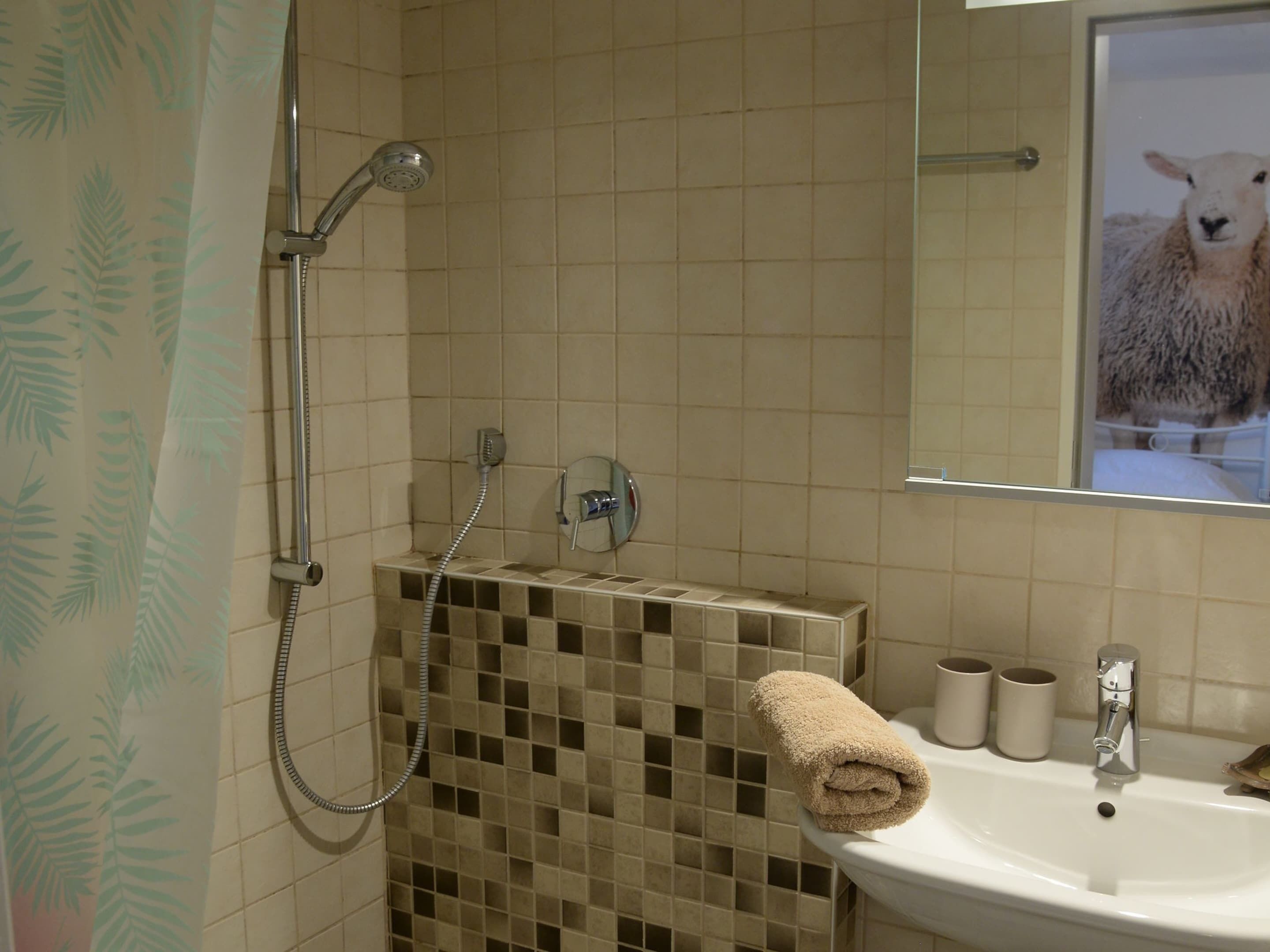 Ein Badezimmer mit Dusche, Waschbecken und Spiegel.
