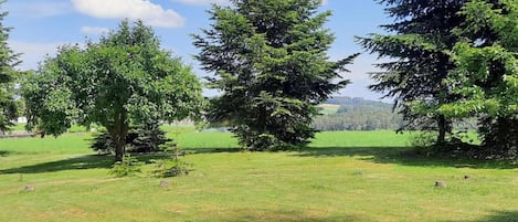 ハウス | 施設からの眺望