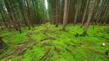 House | Pemandangan dari hartanah