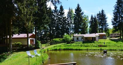 Holiday Home in Thuringia With Sauna