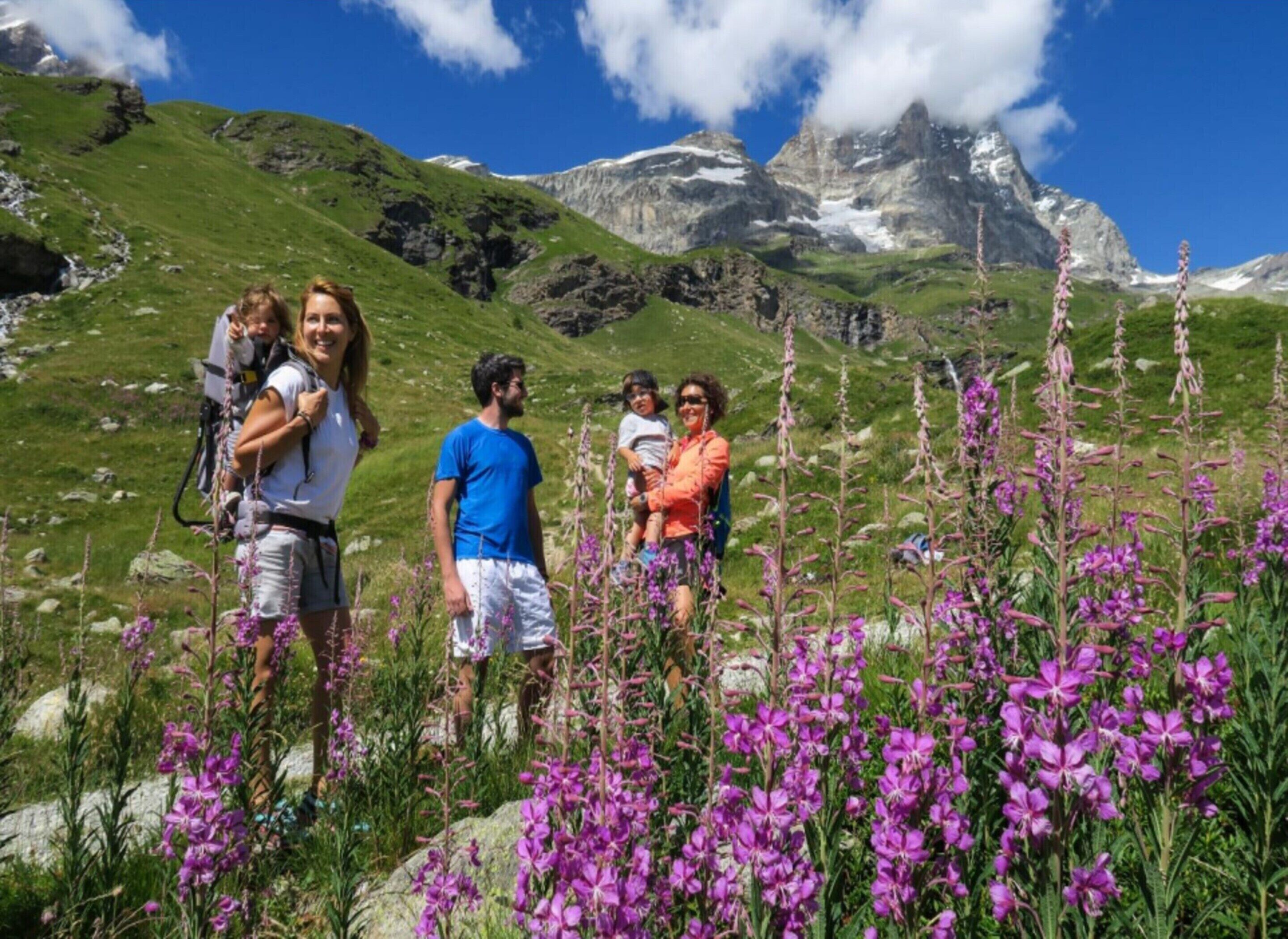 Un gruppo di persone fa trekking in una zona montuosa con fiori viola e cielo sereno.