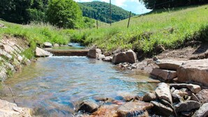 Un pequeño arroyo serpentea por un paisaje rocoso con abundante vegetación y colinas al fondo.