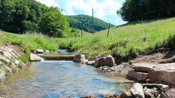 Apartment | Pemandangan dari hartanah