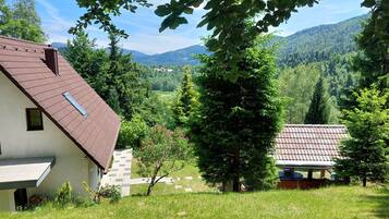 House | Property grounds