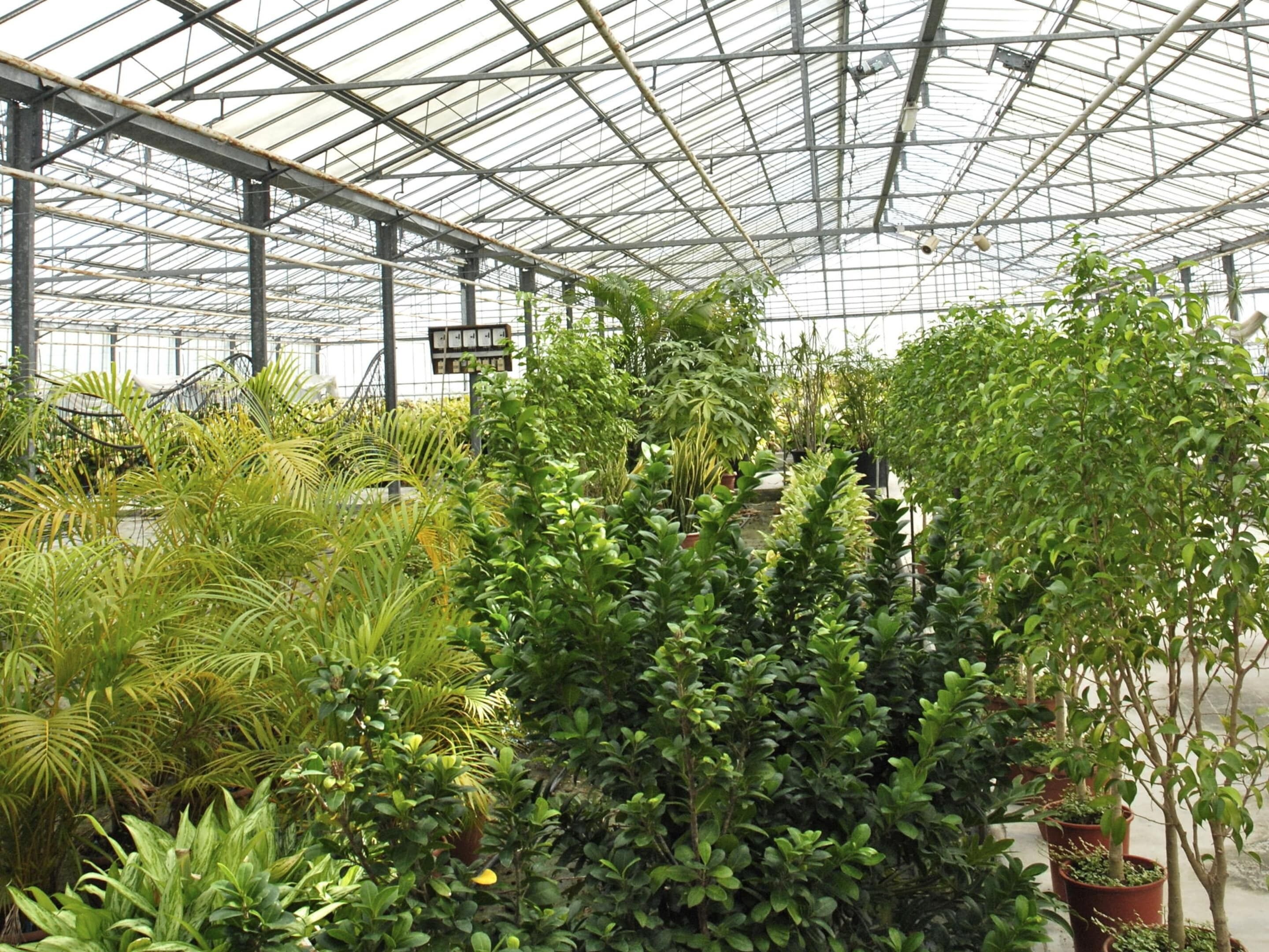 Ferienhaus | Blick von der Unterkunft