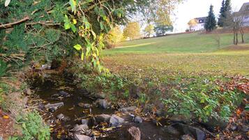 A small stream with rocks and foliage, surrounded by trees and a grassy field.