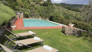 A rectangular pool with a red tiled border, surrounded by a grassy area with lounge chairs and a large rock.