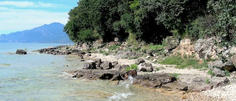 House | View from property