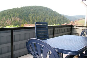 Apartment | Balcony - Charming Apartment in Wildemann With Garden (Clausthal-Zellerfeld)